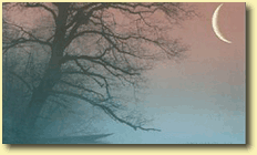 The Great Mysteries